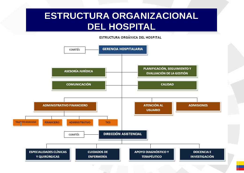 Estructura organizacional hlgd